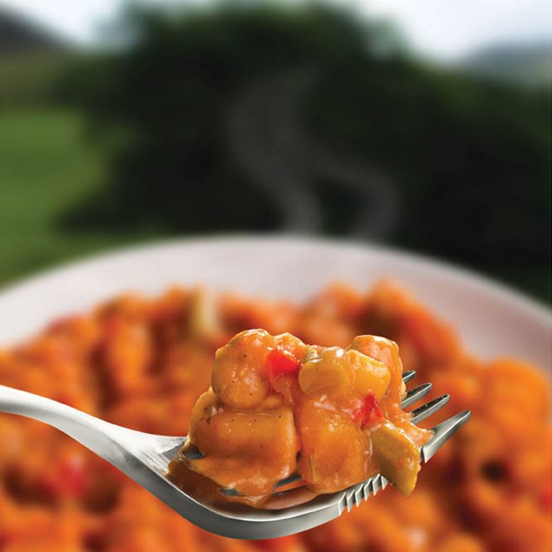 Wayfayrer Vegetable Balti-1