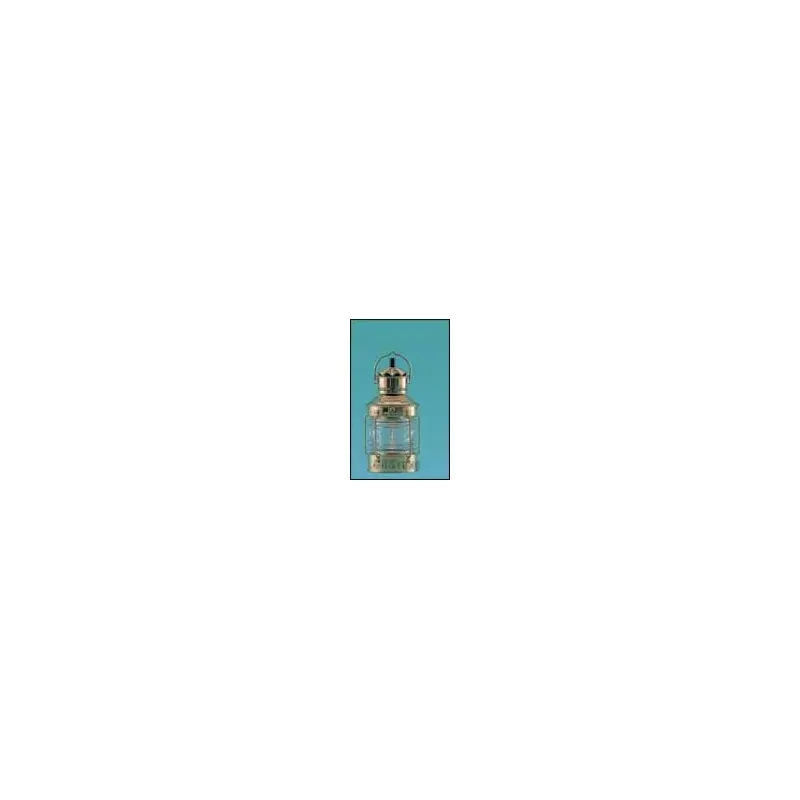 DHR 4 inch Anchor Light-2