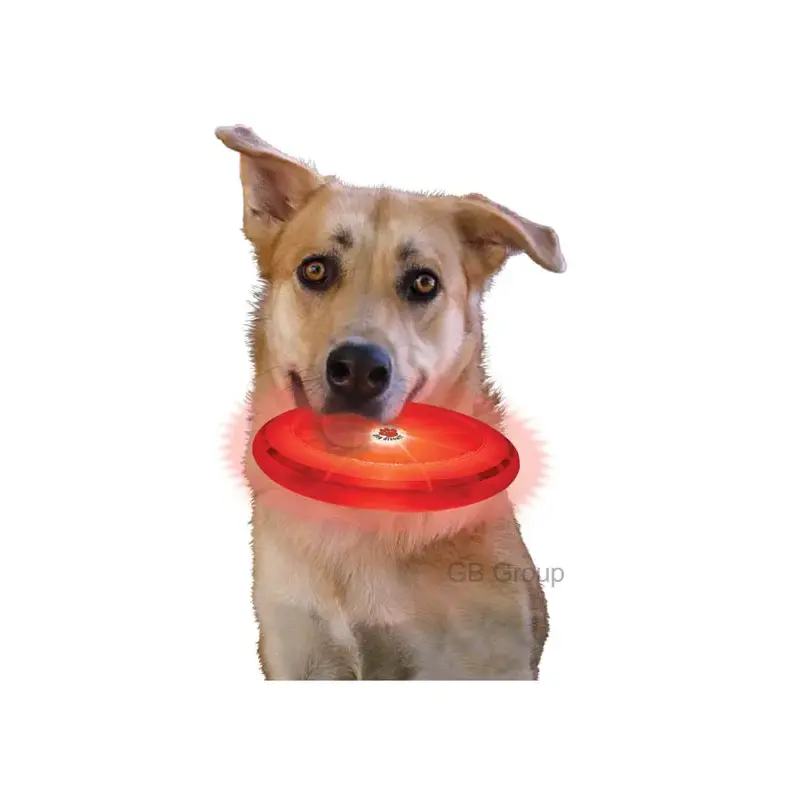 Dog Discuit LED Flying Disc-3