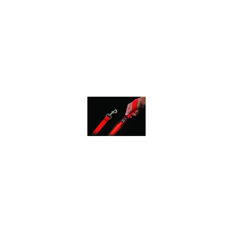 Nite Ize NiteDawg Leash-2